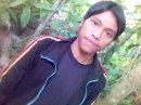 Ardi